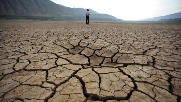 El cambio climático puede traer otro 'jinete del apocalipsis': el hambre 131 image 38