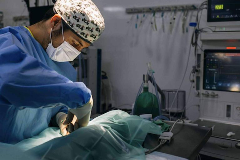 La campaña de esterilización en la comunidad de Madrid del Hospital Veterinario Privet