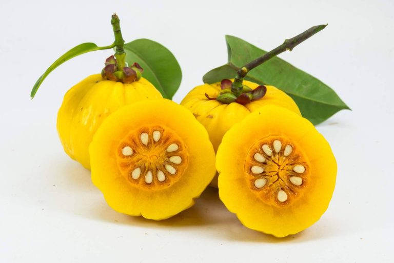 Cuáles son los beneficios de la Garcinia Cambogia, por La Parafarmacia del Puerto