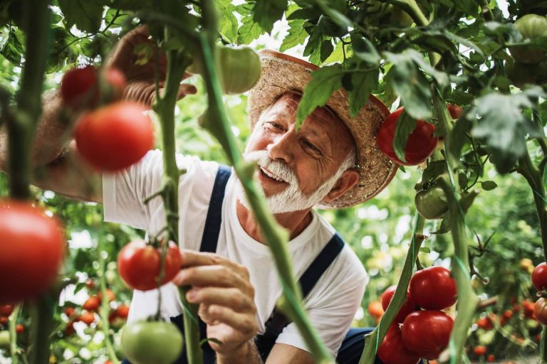 La importancia de la información en tiempo real para proveedores y negocios hosteleros