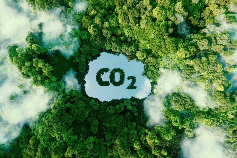 ClimateTrade formará parte de la COP27, uno de los eventos climáticos más importantes del año