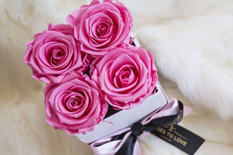 La propuesta de regalos de Roses to Love para que las empresas las entreguen a sus clientes