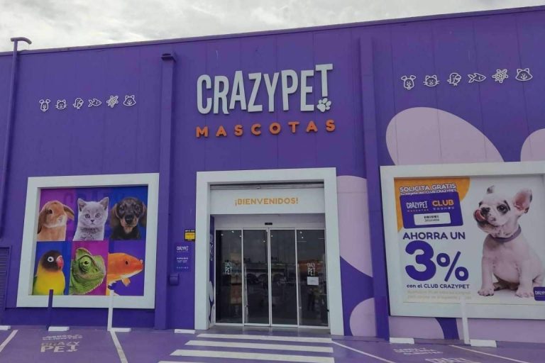 Los beneficios de la alimentación natural para gatos de la mano de CRAZYPET.es