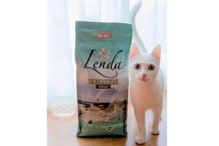 Lenda permite cuidar de la salud de los gatos con Lenda Kitten