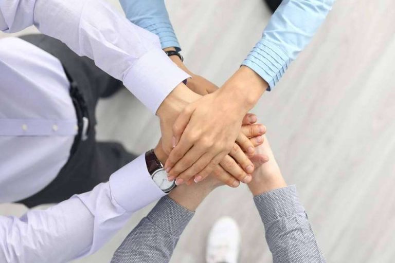 NOVI mentor club es una firma dedicada a crear equipos comerciales para empresas