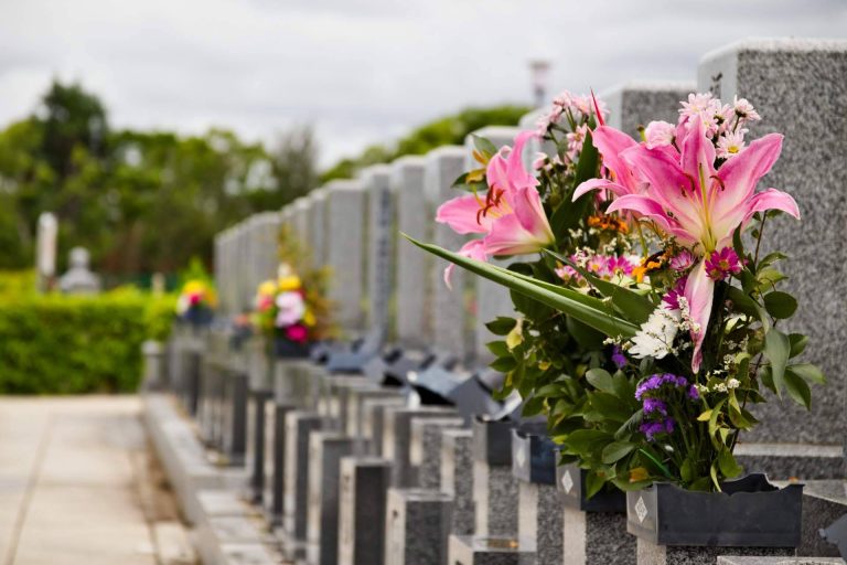 En el Día de Todos los Santos, el interés por las flores para el cementerio crece en un 800 %