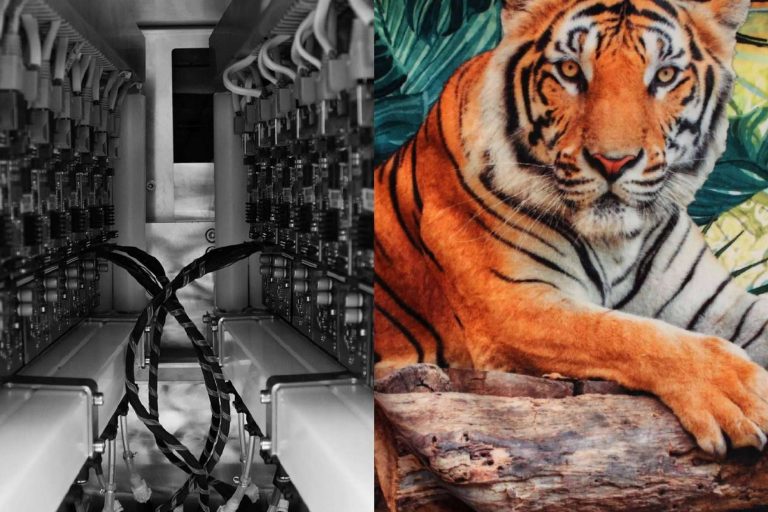 Maquinaria digital avanzada para la decoración textil