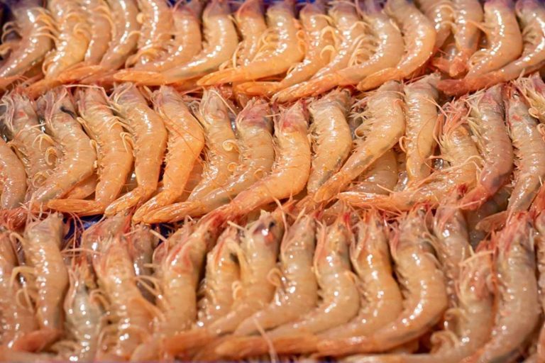 ¿Qué diferencia a la gamba blanca de Huelva?, por Lonja de Ayamonte