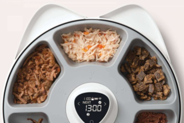 Gracias al comedero inteligente de 6 raciones, ParaPerrosyGatos mejora la calidad de vida de los gatos