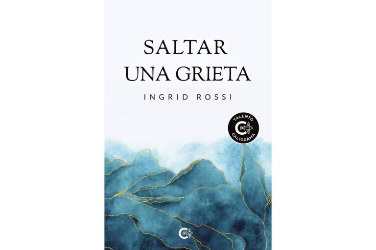 Saltar una grieta, la sorprendente novela que obra el milagro de que el lector se conozca a sí mismo