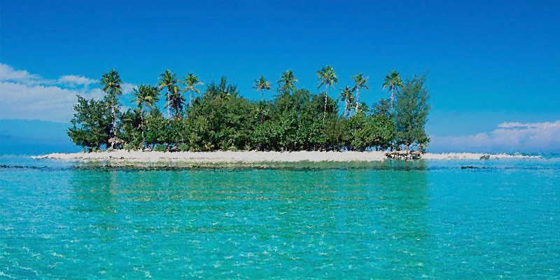 Cosas que nunca debes decirle a un vegetariano