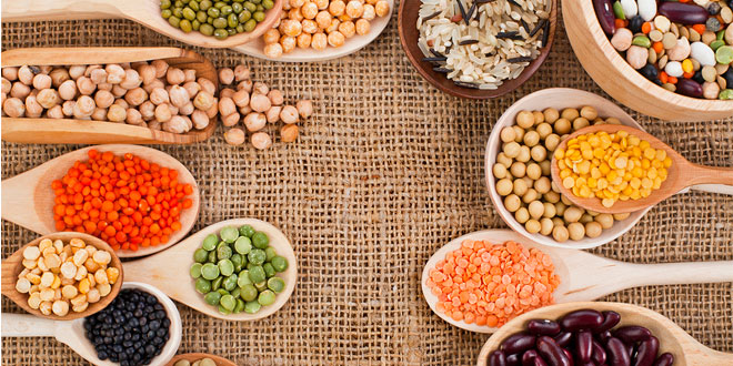 Cosas que nunca debes decirle a un vegetariano