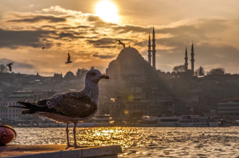 Los mejores lugares para visitar en Turquía durante el otoño