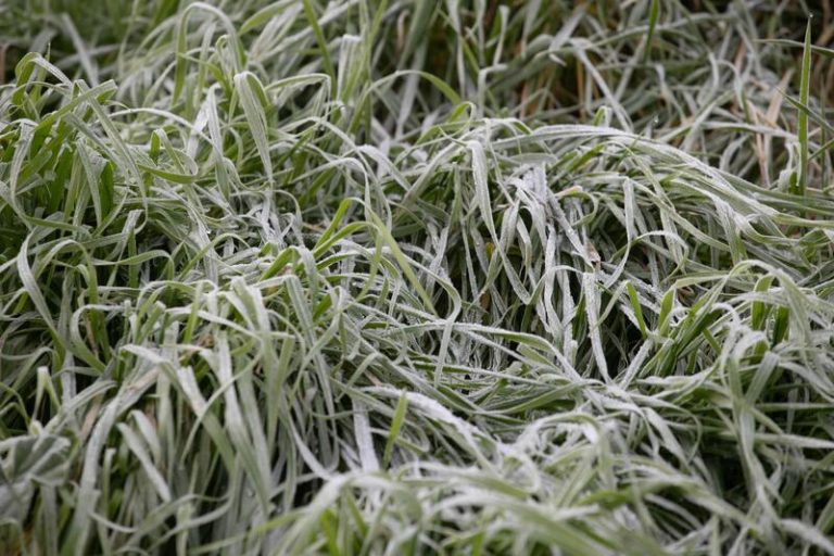 Lluvias fuertes y heladas dan comienzo a un 2 de diciembre invernal