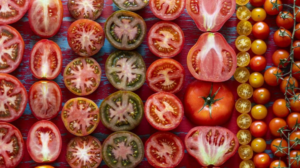 Conoce la variedad de tomates que hay 