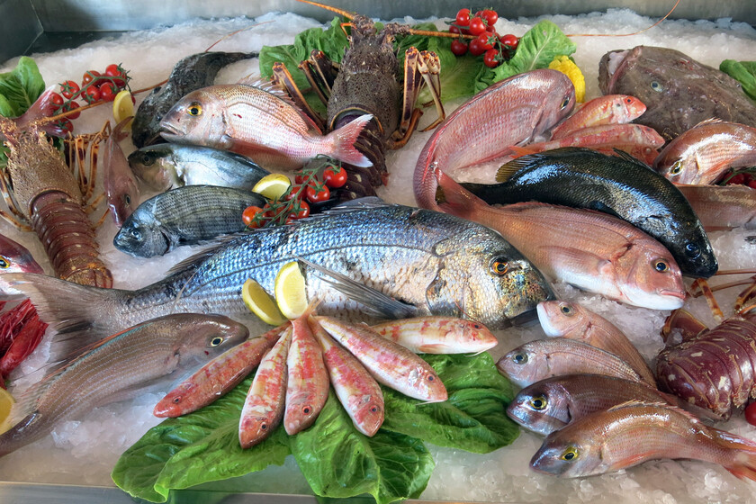 Comprar pescado congelado