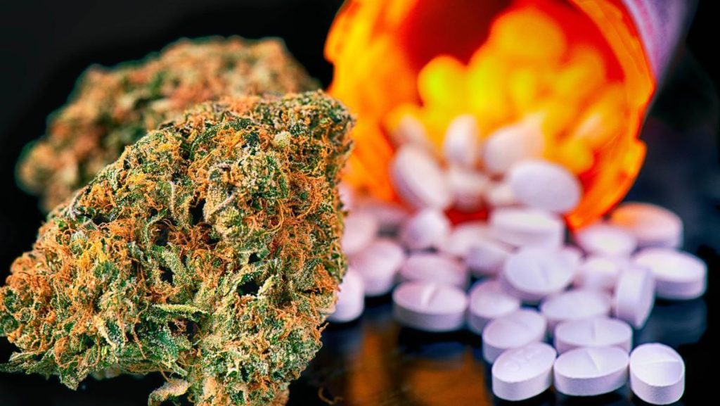 Organizaciones piden por más compromiso