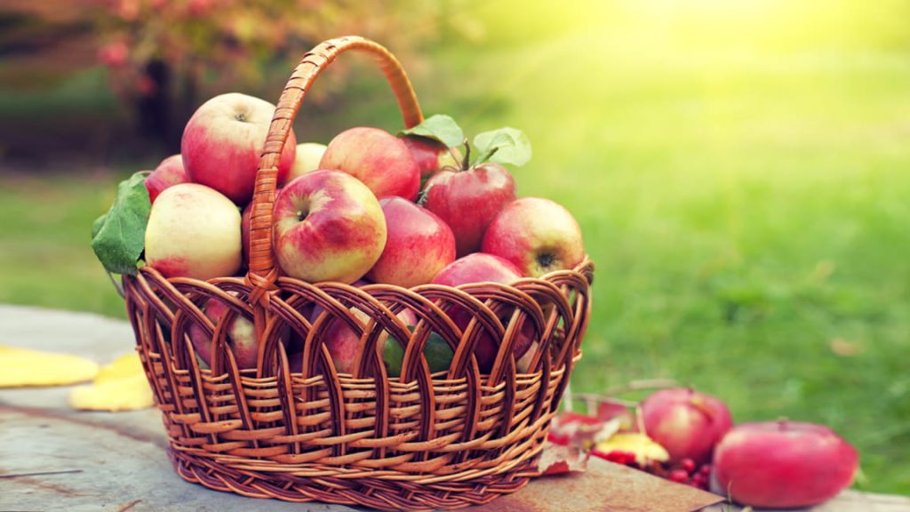 Las razones por las que deberías comer las manzanas con piel 46 Las manzanas reducen significativamente el riesgo cardiaco