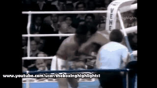 Boxeadores que se noquearon ellos mismos