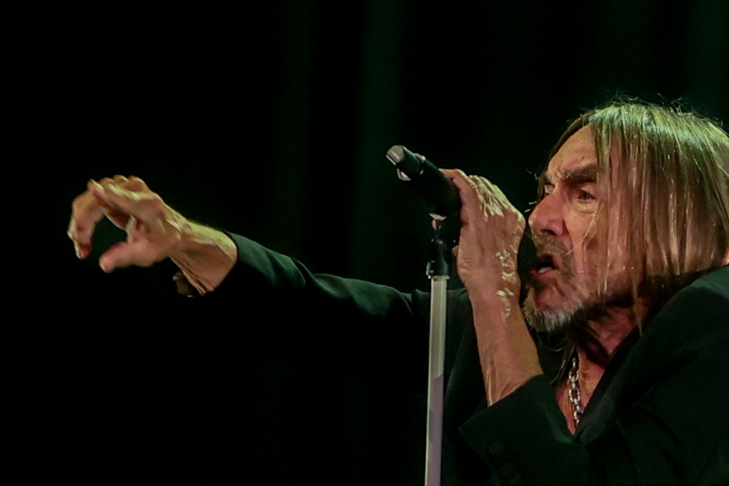 Iggy Pop