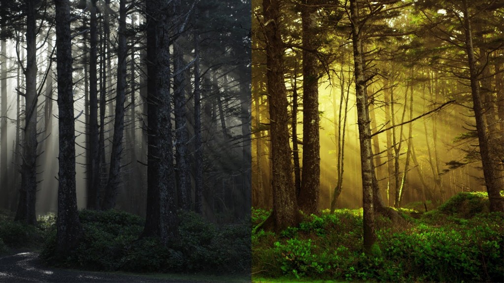 Fotos que quedan increíbles después de aplicar photoshop