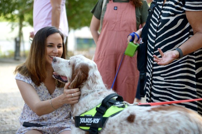 Los perros de trabajo UME tendrán un hospital veterinario móvil: 220.000 euros de licitación