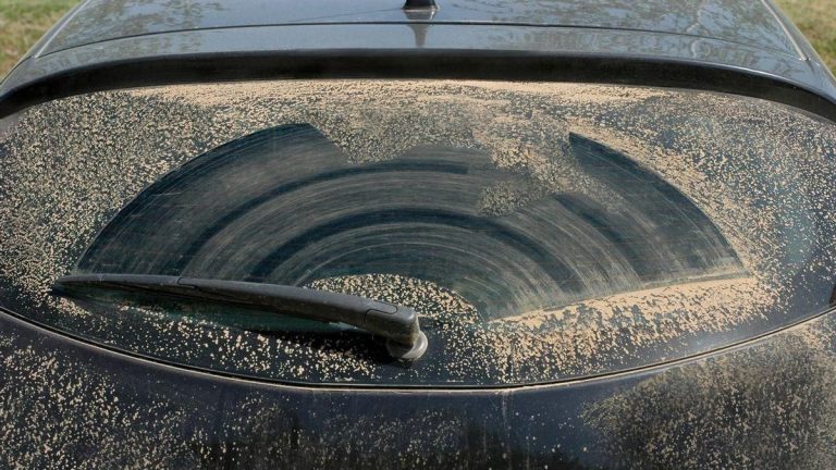 La multa que te pone la DGT si llevas el coche así