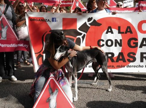 Los perros de caza, el tema que mantiene bloqueada la ley de bienestar animal Los perros de caza, el tema que mantiene bloqueada la ley de bienestar animal