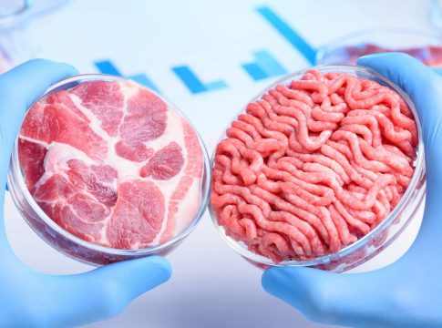 Qué es la carne cultivada en laboratorio 1 Qué es la carne cultivada en laboratorio