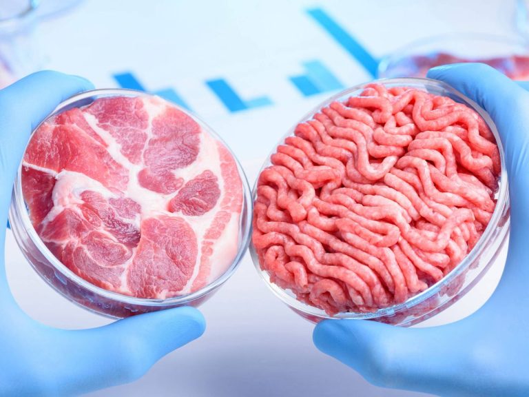 Qué es la carne cultivada en laboratorio
