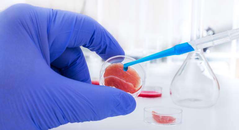 Qué es la carne cultivada en laboratorio 189 La población crece pero los recursos no