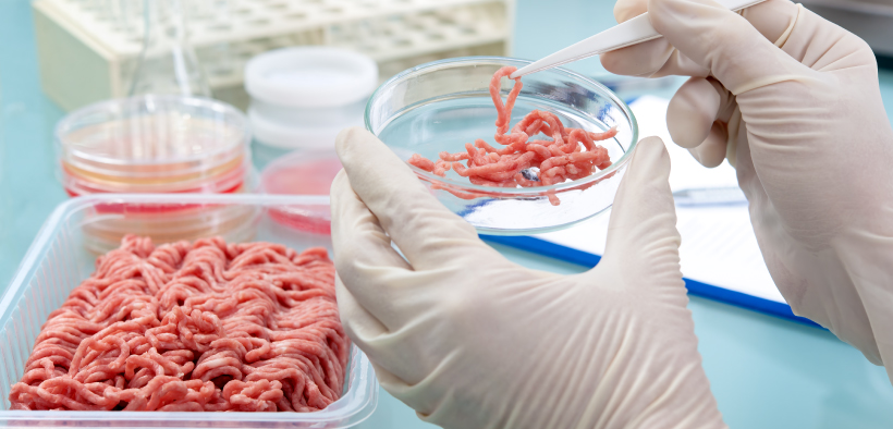 Qué es la carne cultivada en laboratorio 190 ¿Quiénes están investigando en este momento?