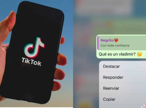 Qué es un vladimir 1 Qué es un Vladimir