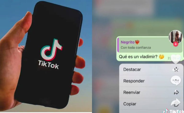 Qué es un Vladimir: ¿Por qué deberías empezar a plantearte usar TikTok?