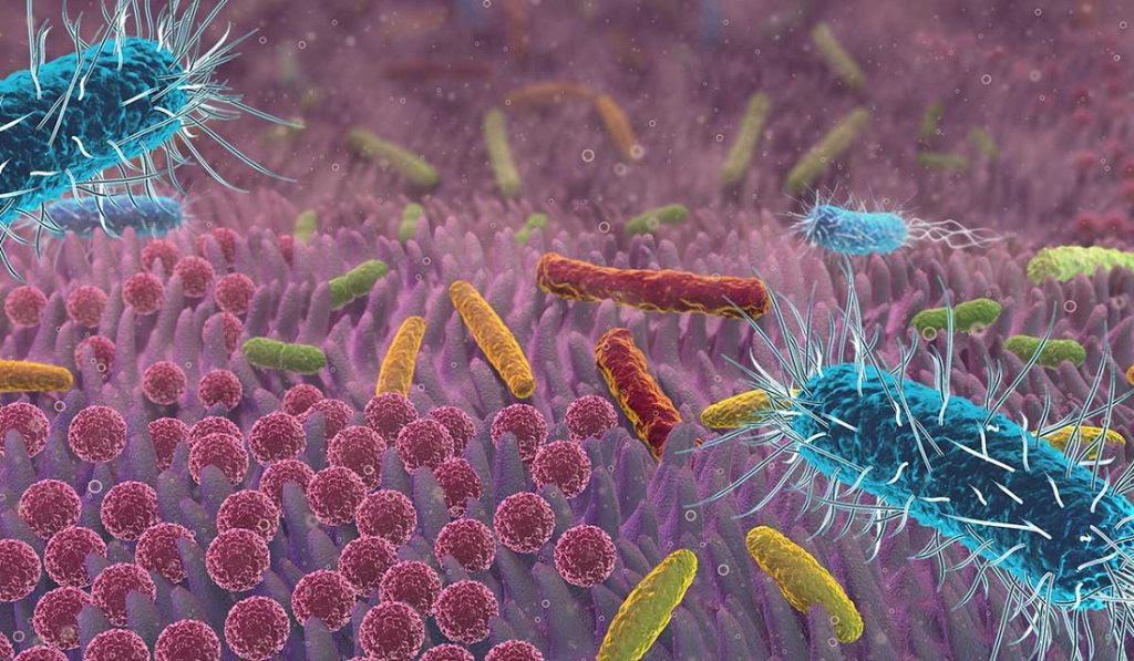 Por qué no debes tirar de la cisterna con la tapa levantada