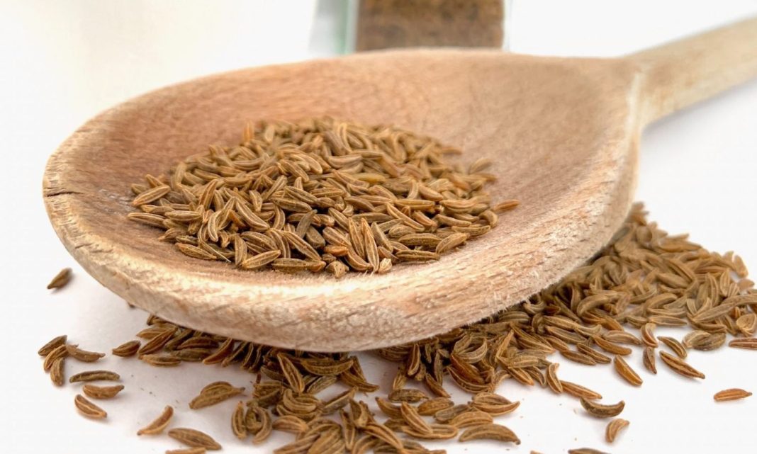 Remedio para los gases - Semillas de Alcaravea