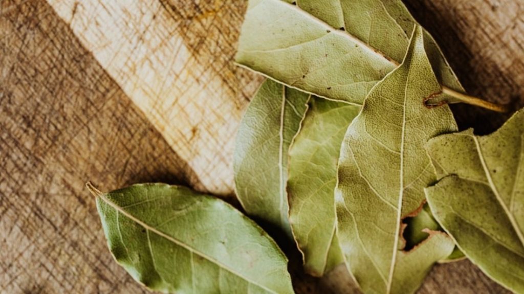 Repelente natural de laurel