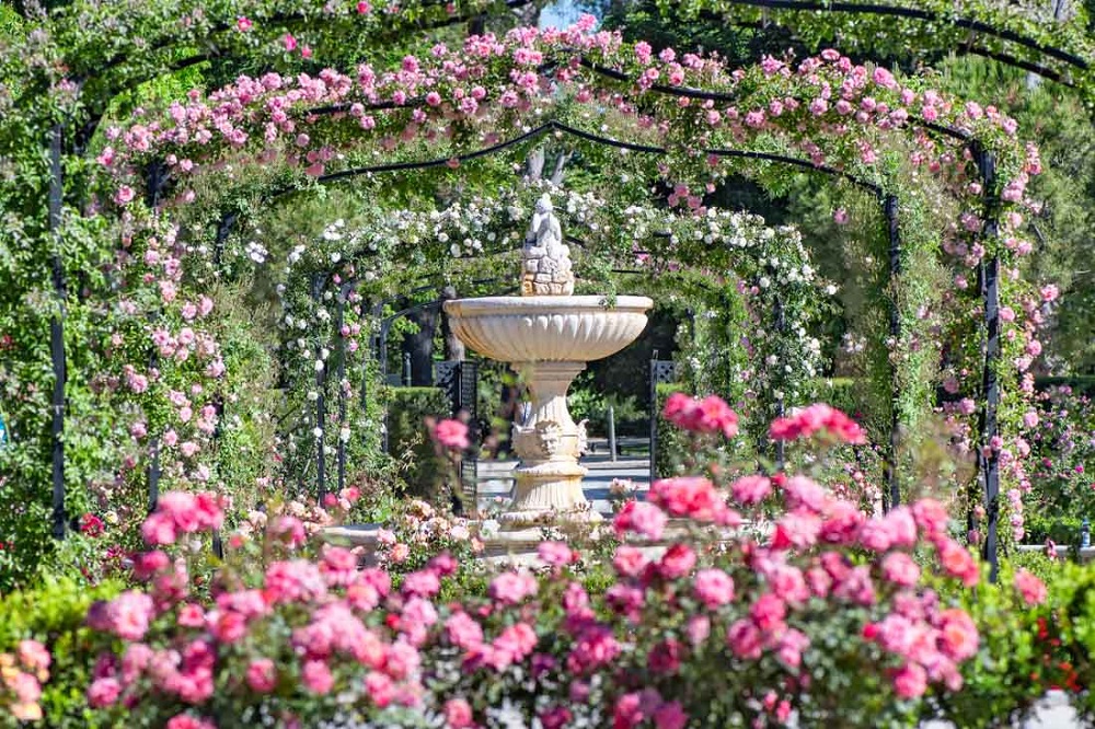 Rosaleda de El Retiro