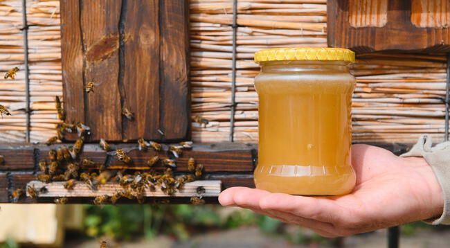 Señales para reconocer la miel falsa