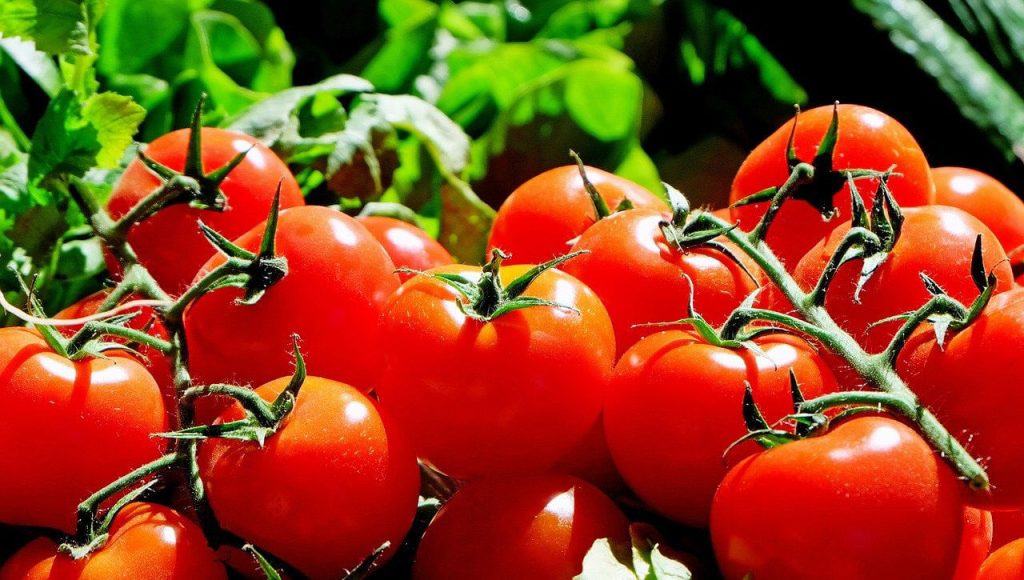 El comercio y la competencia es complicada 