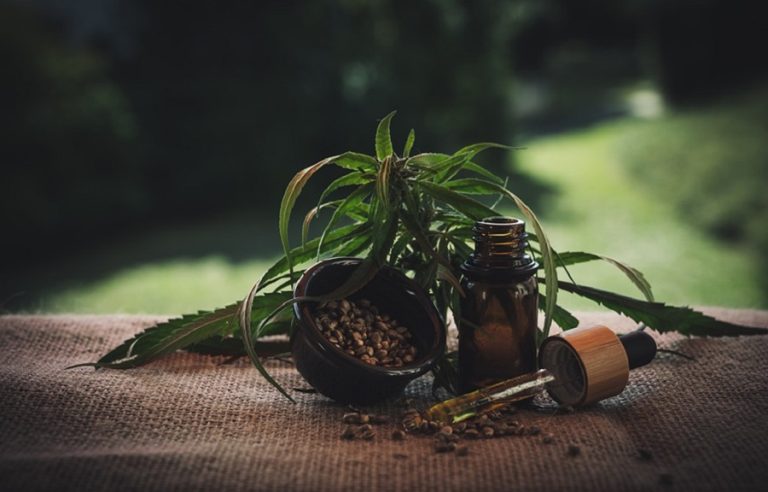 Estos son los beneficios del aceite de CBD en la salud