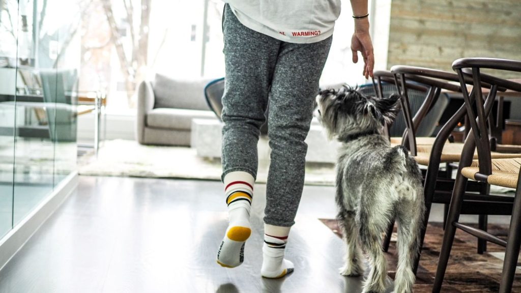 Levántate y camina un poco por la casa 