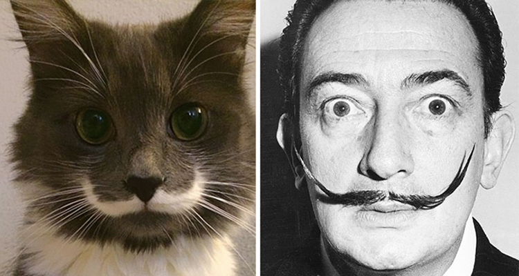 Famosos que parecen animales