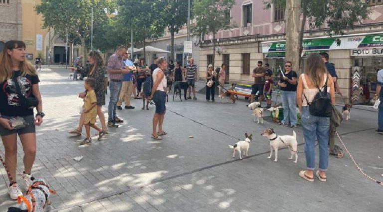 El grupo municipal Sant Feliu VIVA! defiende los derechos animales en Sant Feliu de Llobregat