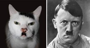 Famosos que parecen animales