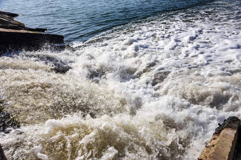 ¿Quién pone el cascabel al gato en el caso de la crisis de agua?