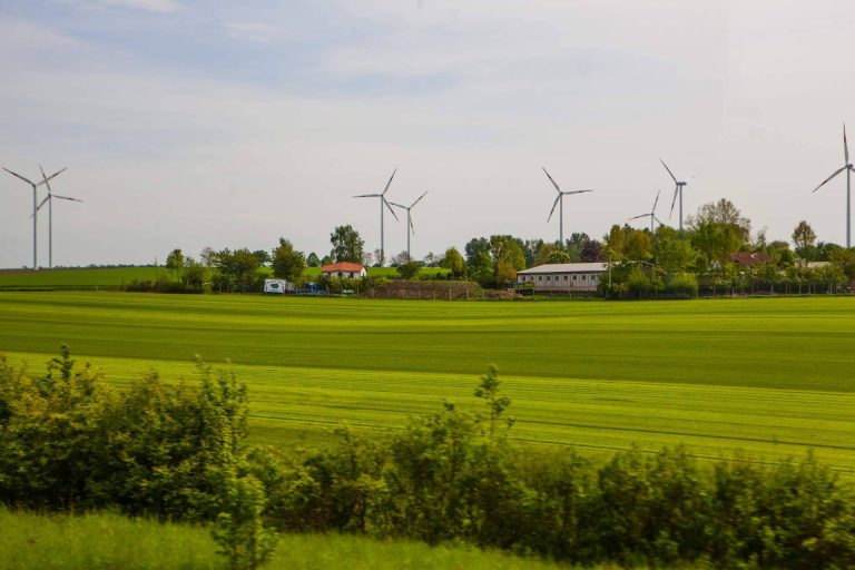 WellWo explica qué es la sostenibilidad