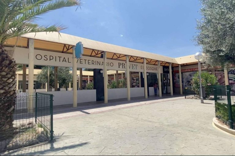 Gran recogida de alimentos y materiales, de la mano del Hospital Veterinario Privet