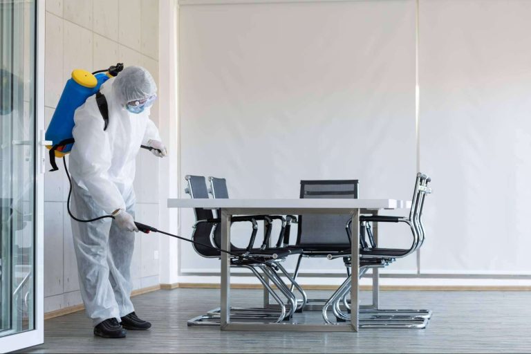 5 razones para contratar a una empresa de control de plagas