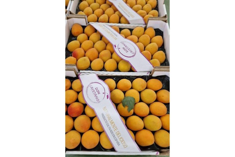 La creciente expansión de la empresa española Frutas Don Cayetano